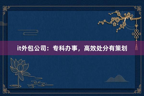 it外包公司：专科办事，高效处分有策划