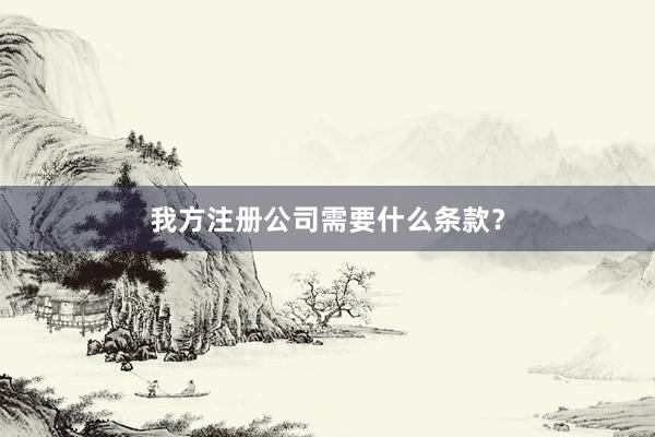 我方注册公司需要什么条款？
