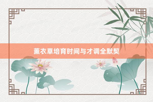 薰衣草培育时间与才调全默契