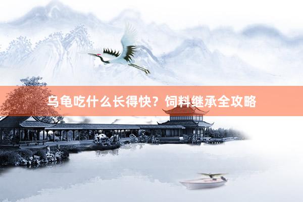 乌龟吃什么长得快？饲料继承全攻略